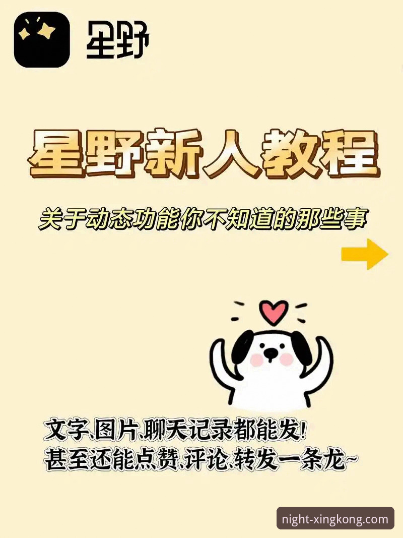 星空娱乐平台App安装实用指南：从下载到畅玩的完整路径